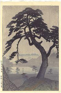 Pine-tree in Rainy Season, Kinokunizaka,Tokyo