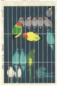 Bird Cage