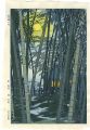 Bamboos in Early Summer