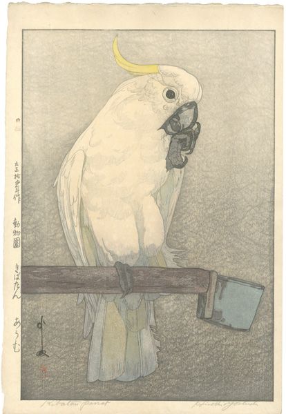 Yoshida Hiroshi “At the Zoological Garden / Sulphur-crested Cockatoo”