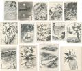 Sketches