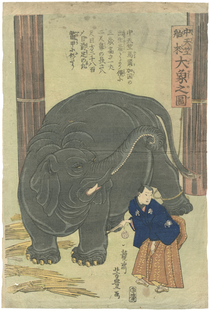 Yoshitoyo “The Great Elephant Imported from Central India”
