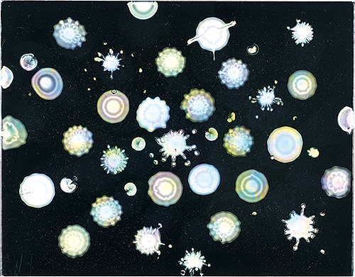 Shono Bunpei “microcosmos”