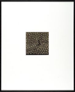 Hamaguchi Yozo / Green and Purple Grapes : sketch for prints