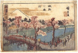 Hiroshige I / 諸国名所　武州小金井 [諸国名所　武州小金井]