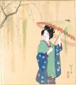 Shikishi Paper Board