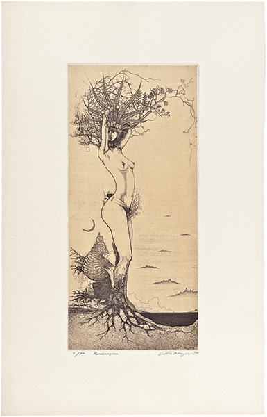 Taga Shin “Mandragora”