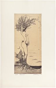 Taga Shin / Mandragora