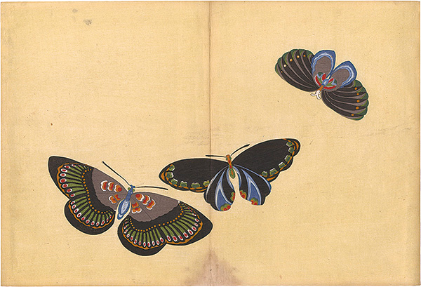 Kamisaka Sekka “A Print from a Thousand Butterflies”