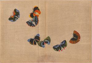 Kamisaka Sekka / A Print from a Thousand Butterflies