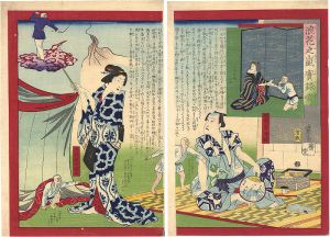 Hiroshige III / The True Story of Yoarashi Okinu [浪花之嵐実録噺]