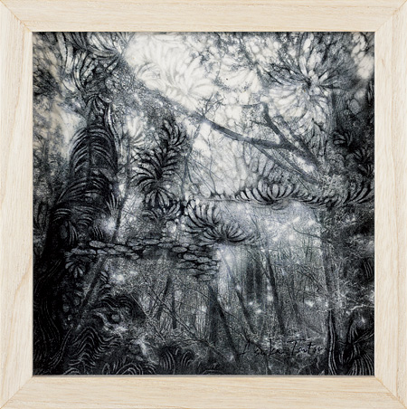 Tsutsumi Asuka “The Silent Drama-Yakushima #17”