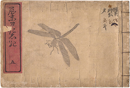 Suzuki Mannen “Yamato Nishiki / Volume 5”