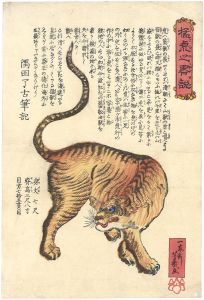 Yoshiiku / General Description of Tiger [猛虎之略説]