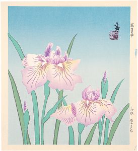 Tokuriki Tomikichiro / Irises (tentative title)