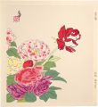Roses (tentative title)
