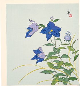 Tokuriki Tomikichiro / Balloon Flowers and a Butterfly (tentative title)
