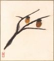 Shikishi Paper Board