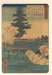 Hiroshige II / Views of Famous Places in Edo / Nippori [江戸名勝図会　日暮里]