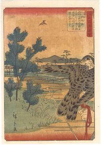 Hiroshige II / Views of Famous Places in Edo / Komabano [江戸名所図会　駒場野]