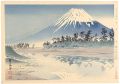 Thirty-Six Views of Mt. Fuji /......