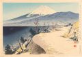 36 Views of Mt. Fuji / Izu Eri......