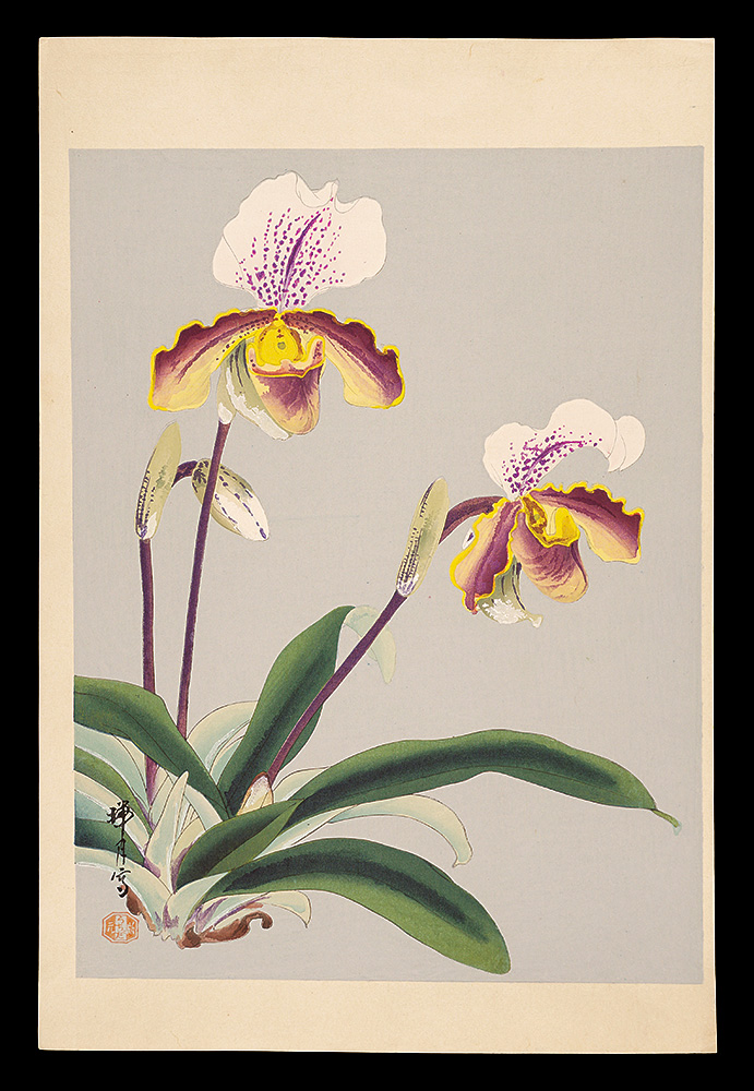 Ikeda Zuigetsu “Orchid”