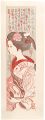 The Twelve months of Maiko / T......