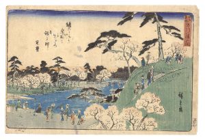 Hiroshige I / Famous Places in Edo / Open Garden at Fukagawa Hachiman Shrine [江戸名所　深川八幡山開]