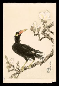 木蓮、九官鳥