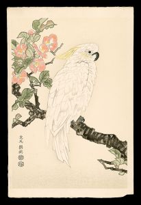 木瓜、鸚鵡