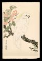 Japanese Quince and Parrot