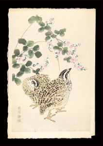 萩、鶉