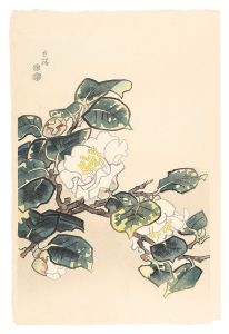 白椿