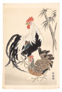 鶏