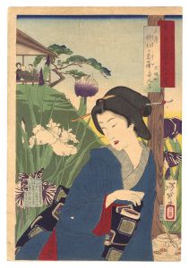 Yoshitoshi / Pride of Tokyo's Twelve Months / The Fifth Month: Iris at Horikiri [東京自慢十二ヶ月　五月 堀切の菖蒲]