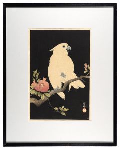 Cockatoo on Pomegranate Branch