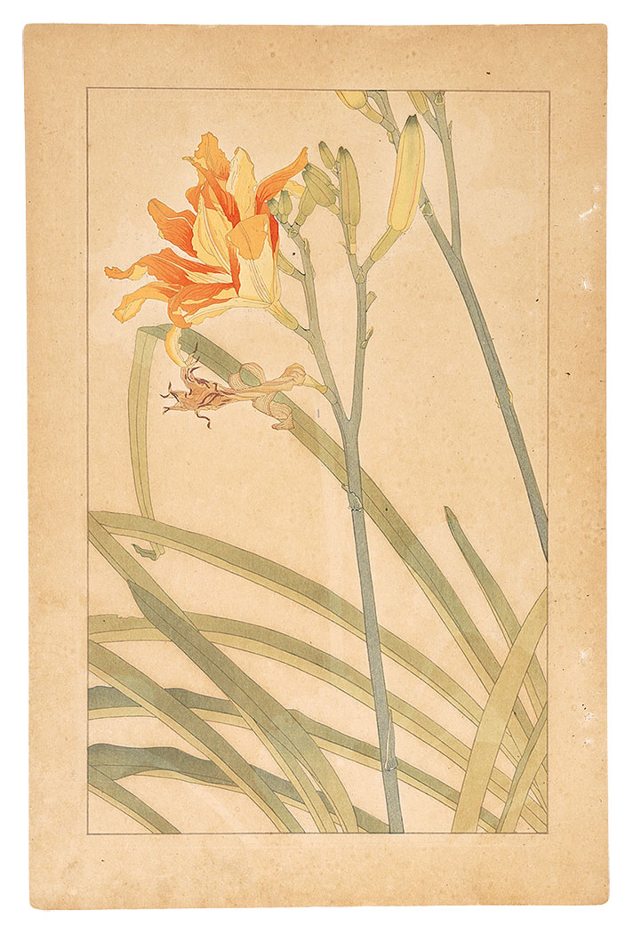 Sugiura Hisui “Day Lily”