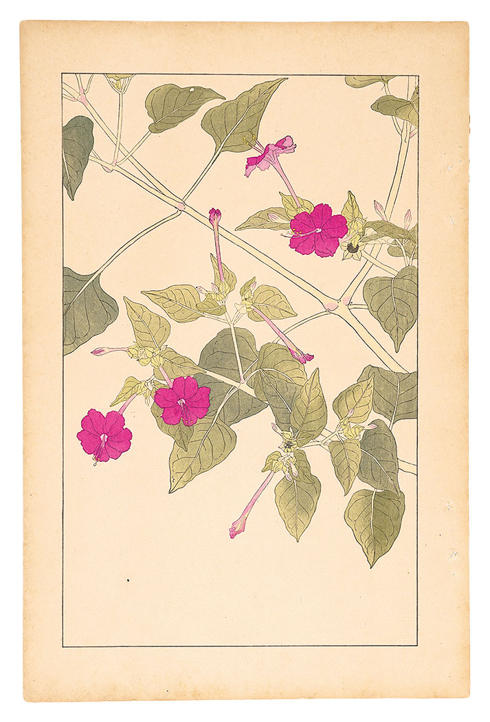 Sugiura Hisui “Marbel of Peru”