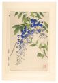 Floral Calendar of Japan / Wis......