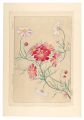 Floral Calendar of Japan / Cos......