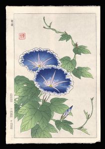 Kawarazaki Shodo / Morning Glory