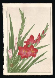 Kawarazaki Shodo / Gladiolus