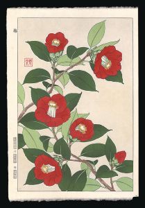 Kawarazaki Shodo / Camellia