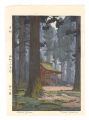 Sacred Grove