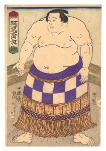 相撲絵　姫路 阿武松和助