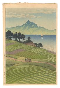 天草より見たる雲仙