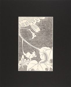 Jakuchu / Flowers of the Kunlun Mountains / Sunflower 【Reproduction】 [玄圃瑤華　向日葵【復刻版】]