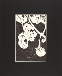 Jakuchu / Flowers of the Kunlun Mountains / Eggplant 【Reproduction】 [玄圃瑤華　茄子【復刻版】]