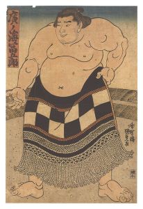 Sumo Wrestler Hironoumi Tomigoro